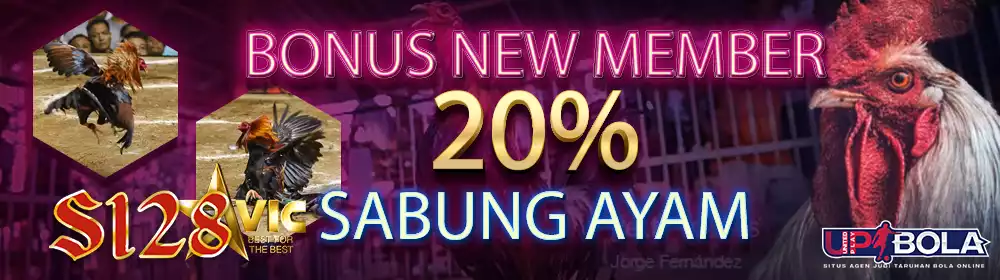 Bonus New Member Sabung Ayam Upbola