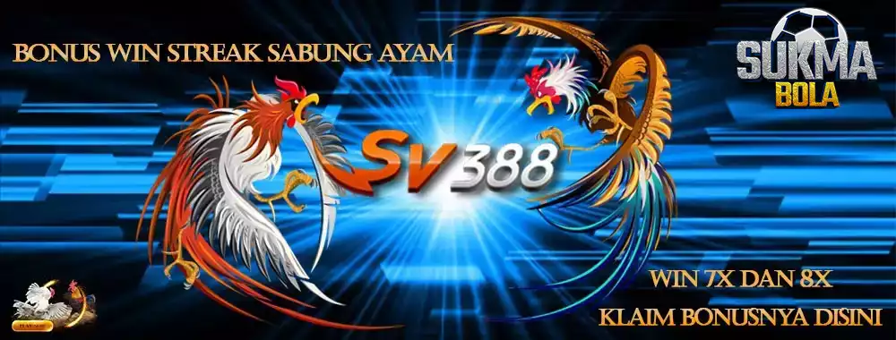 EVENT SABUNG AYAM IWN STREAK SV388