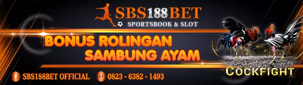 BONUS ROLLINGAN SABUNG AYAM