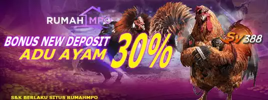 Welcome Bonus RUMAHMPO Sabung Ayam 30% 