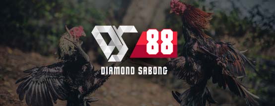 SABONG DS88