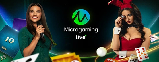 MICROGAMING LC MICROGAMING LC