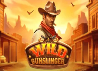 Wild Gunslinger