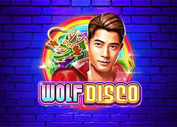 RTP Slot Wolf Disco
