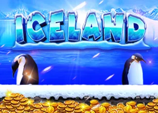Ice Land