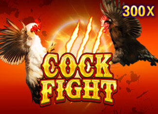 Cock Fight