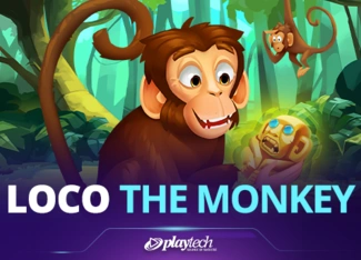 Loco The Monkey
