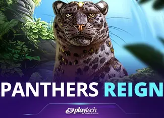 Panther's Reign