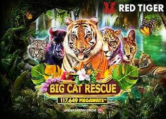 Big Cat Rescue Megaways™