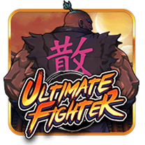 UltimateFighter