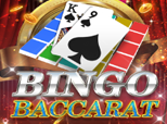 Bingo Baccarat