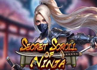 Secret Scroll Of Ninja