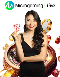 MICROGAMING LC