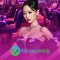MICROGAMING LC
