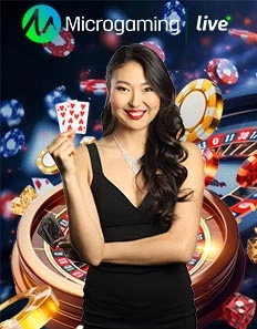 MICROGAMING LC