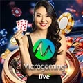 MICROGAMING LC