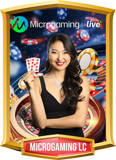 MICROGAMING LC